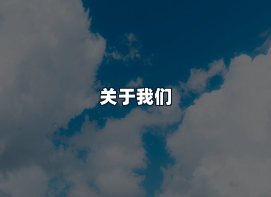 关于我们
