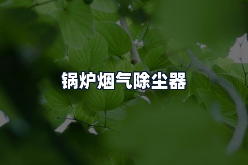 锅炉烟气除尘器